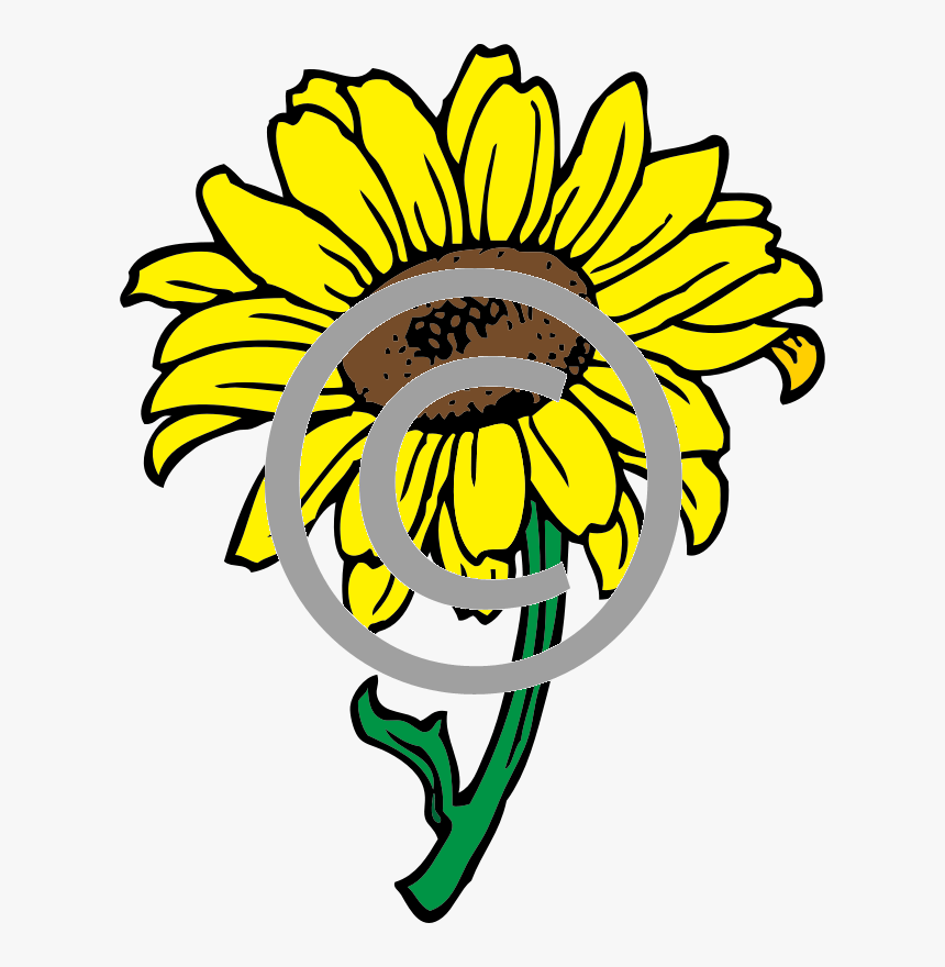 Sunflower Png, Transparent Png