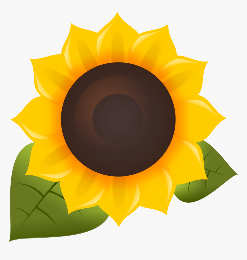 Sunflower Png, Transparent Png