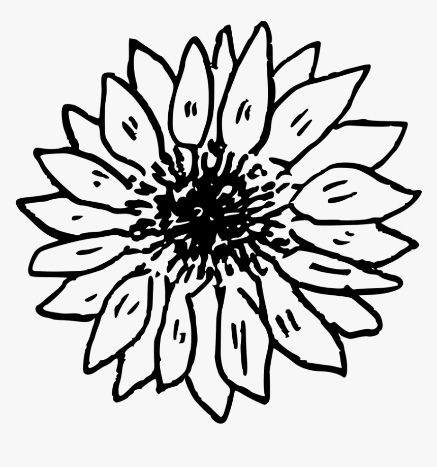 Doodle-sunflower, HD Png Download