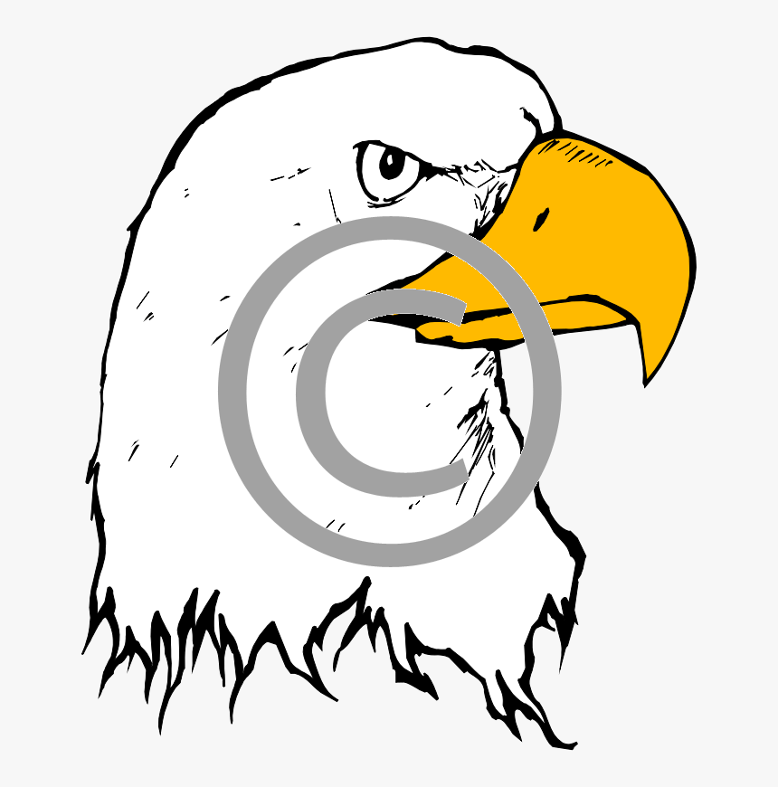 Eagle Png, Transparent Png