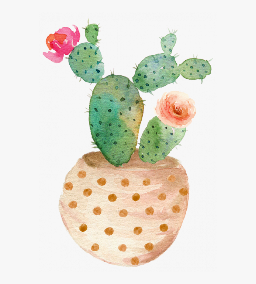 Cactus Png, Transparent Png