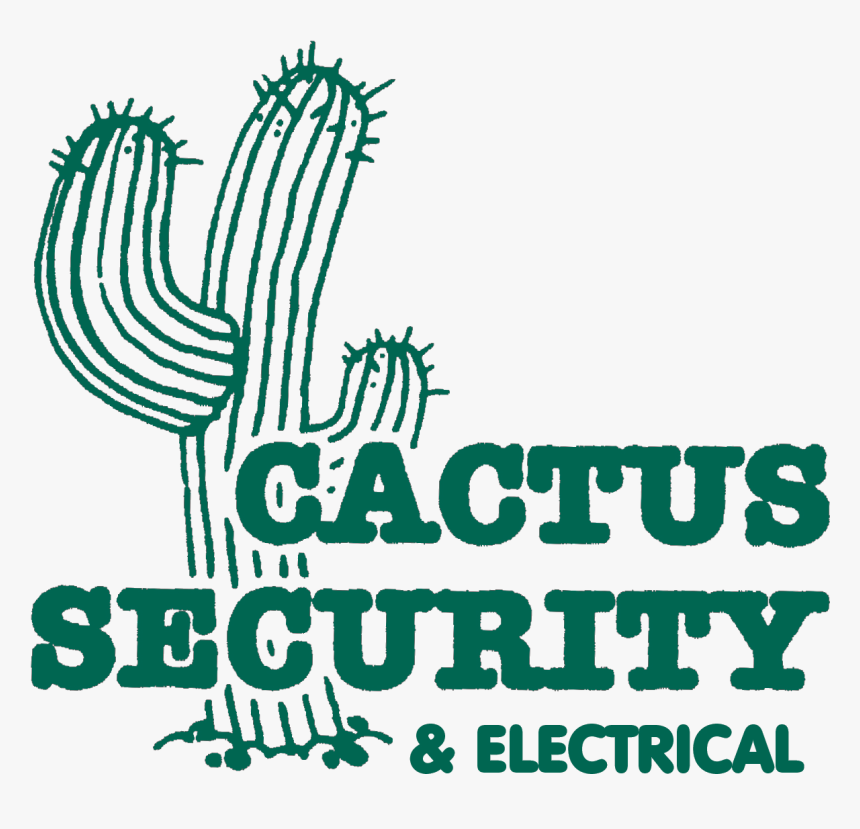 Road And Cactus, HD Png Download