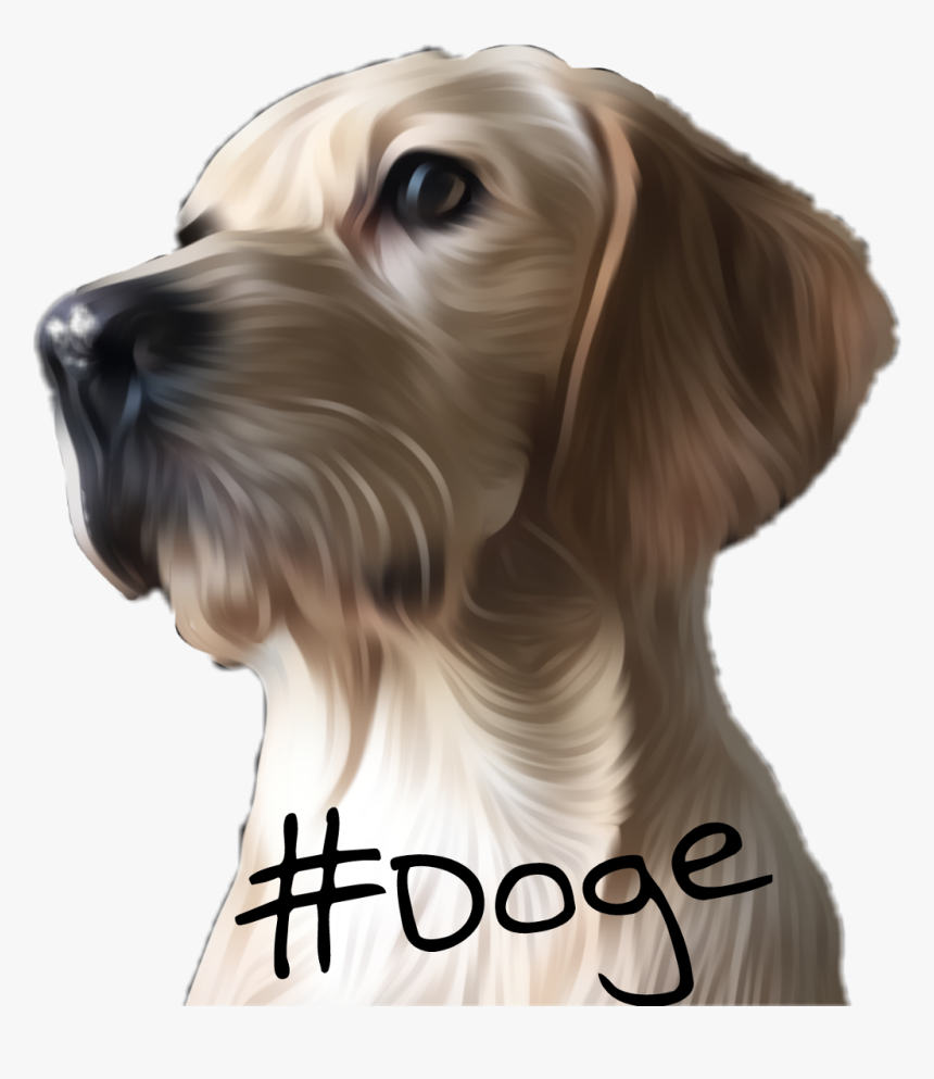 Transparent Cool Dog Png, Png Download