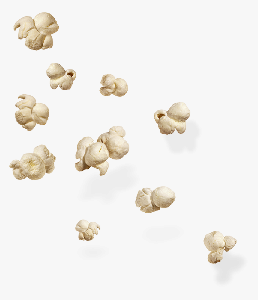 Popcorn Png Image, Transparent Png