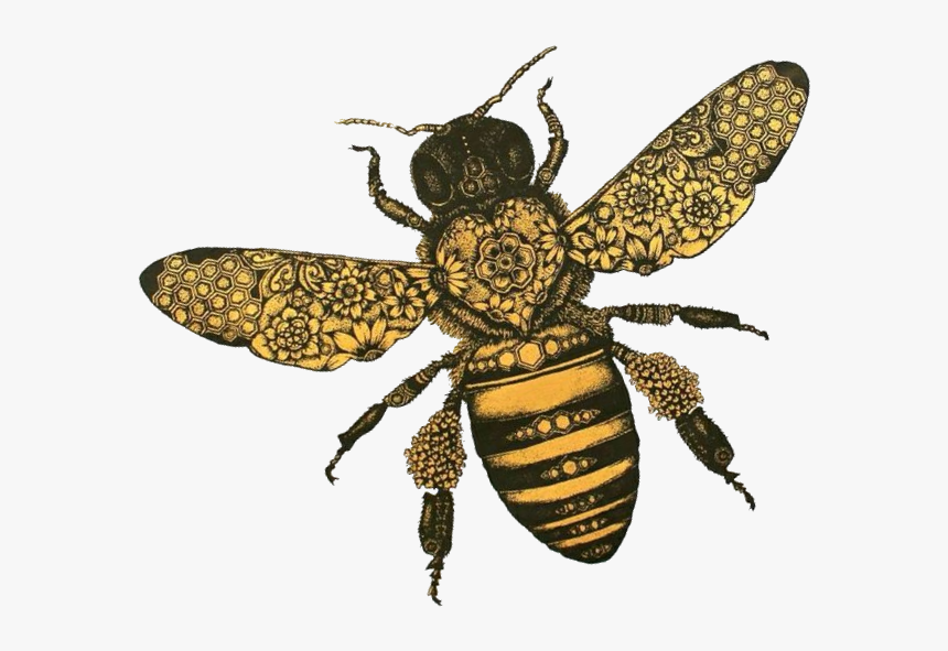 Hfk Bee Tilt, HD Png Download