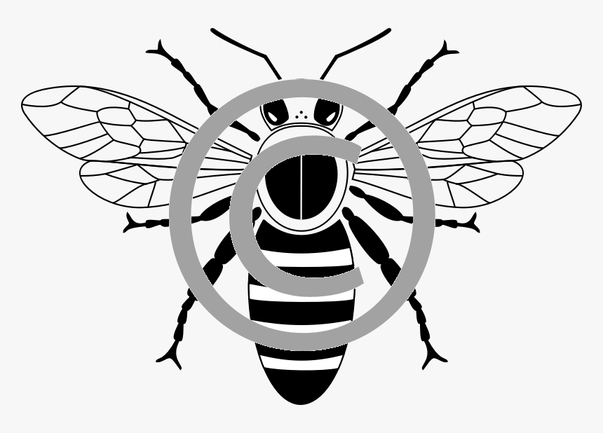 Bee Png, Transparent Png