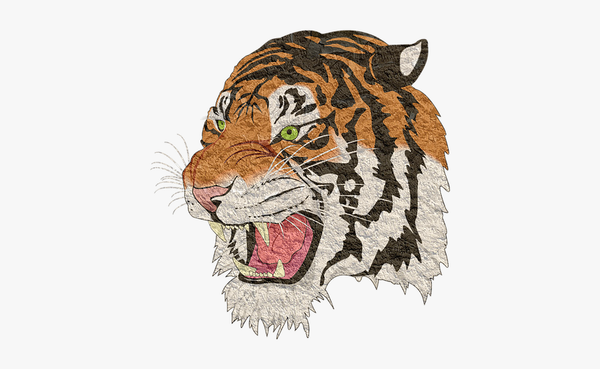 Tiger, Tiger Png, Lion, Animal, Cheetah, Transparent Png