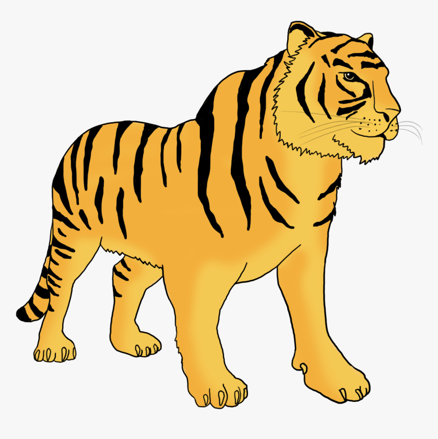 Bengal Tiger Clipart, HD Png Download