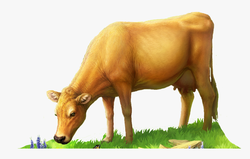 Fn-cow, HD Png Download