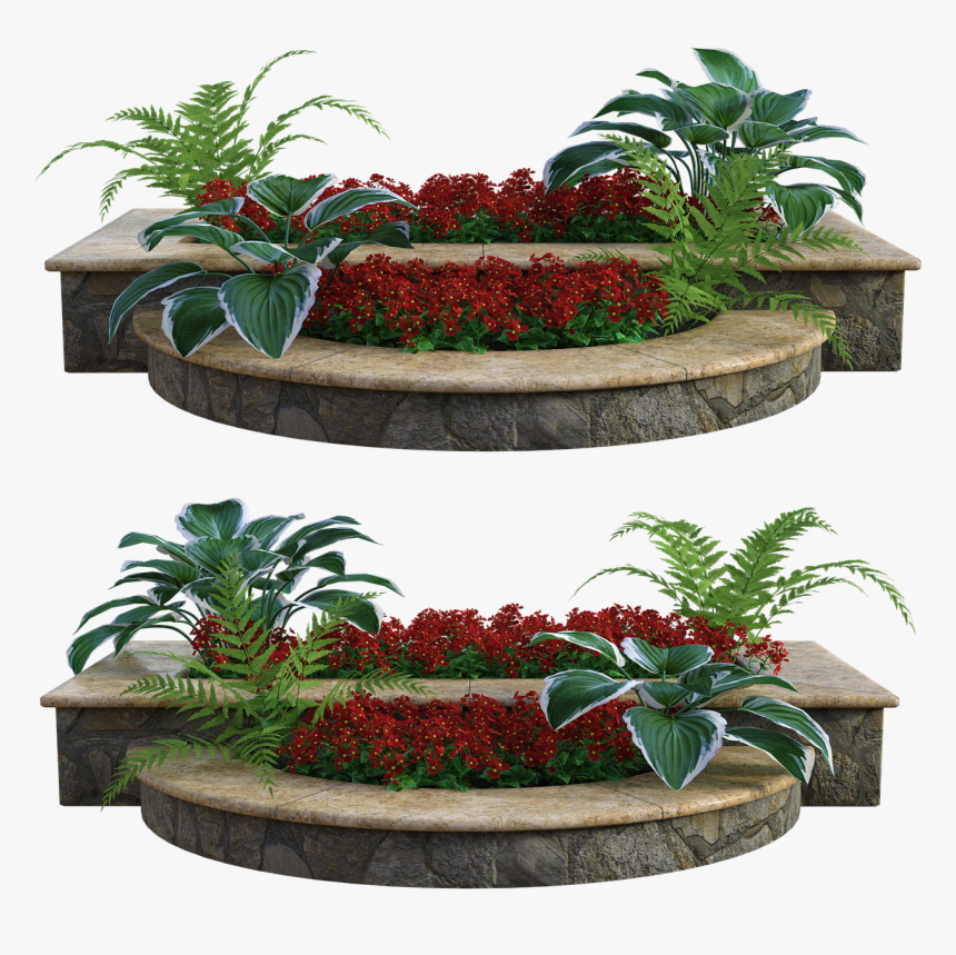 Plants Png, Transparent Png