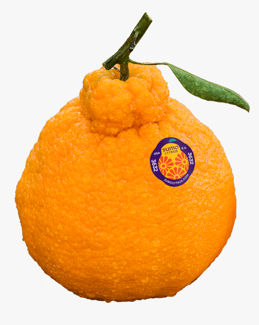 Orange Png, Transparent Png