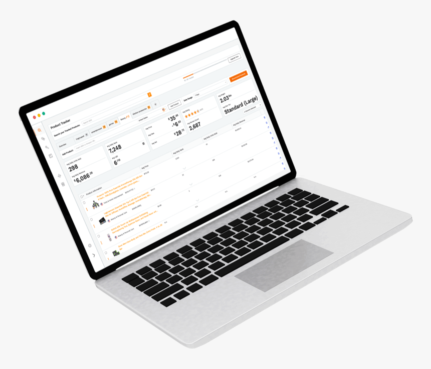 Amazon Png, Transparent Png