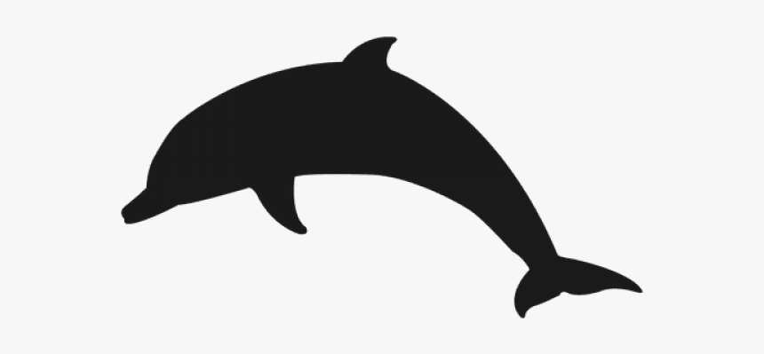 Dolphin Png Transparent Images, Png Download