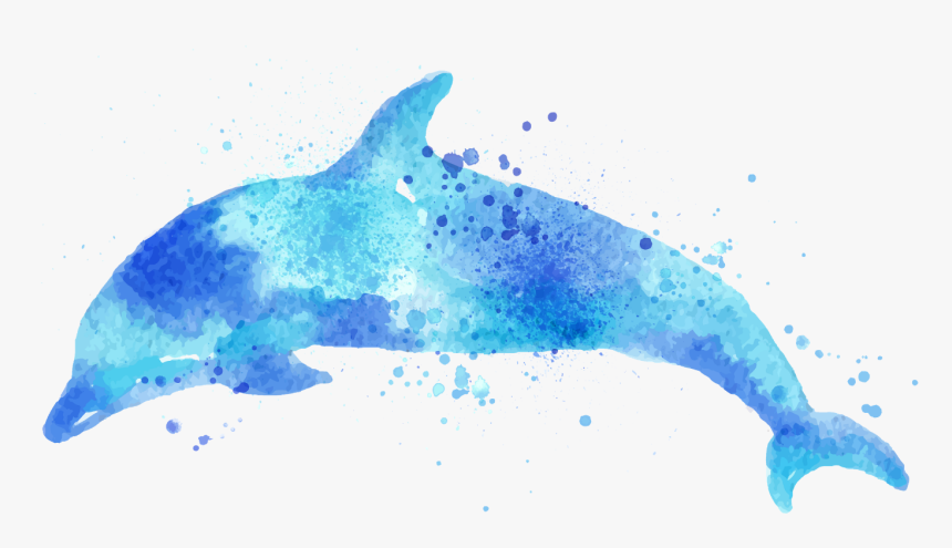 Watercolor Dolphin Png , Png Download, Transparent Png