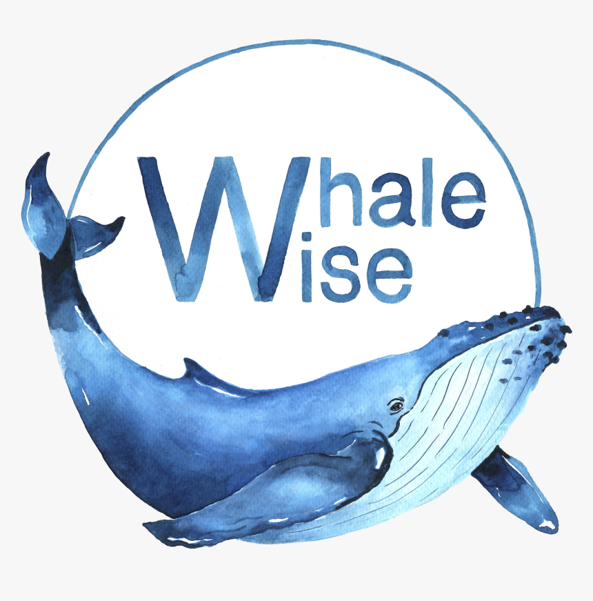 Transparent Whales Png, Png Download