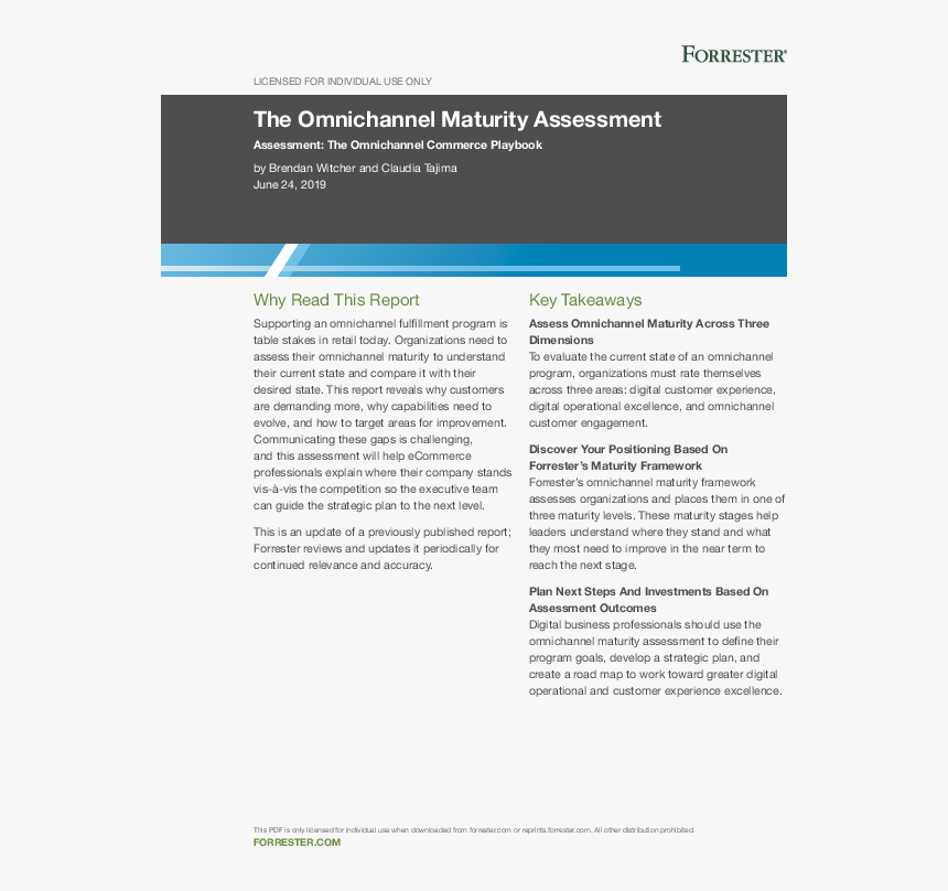 Thumb Original The Omnichannel Maturity Assessment, HD Png Download