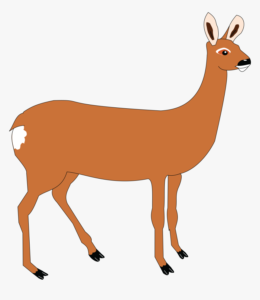 Free Clipart Of A Doe Deer, HD Png Download