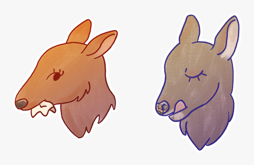 Deer, HD Png Download