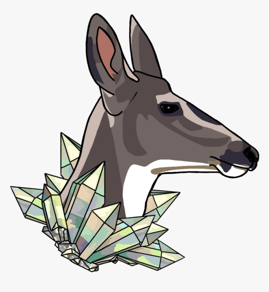 Deer Png, Transparent Png