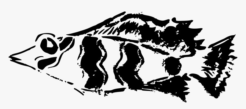 Fish Graffiti Png , Png Download, Transparent Png