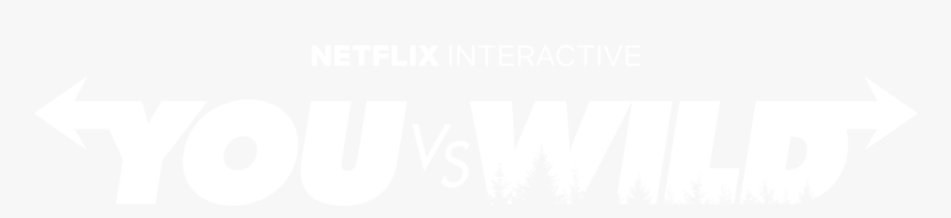Netflix Logo Png, Transparent Png