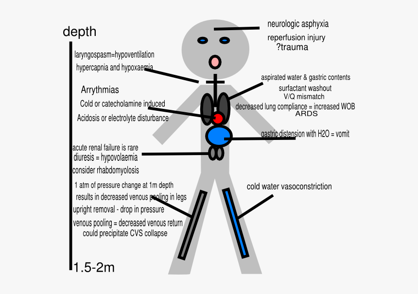 Stick Figure Pathophysiology Of Drowning Svg Clip Arts, HD Png Download