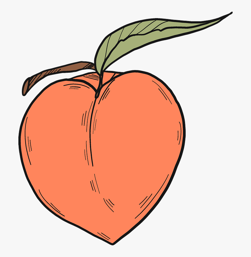 Peach Clipart, HD Png Download