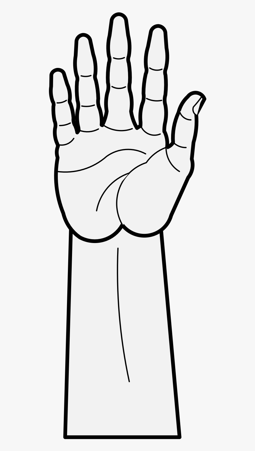 Arm Png, Transparent Png