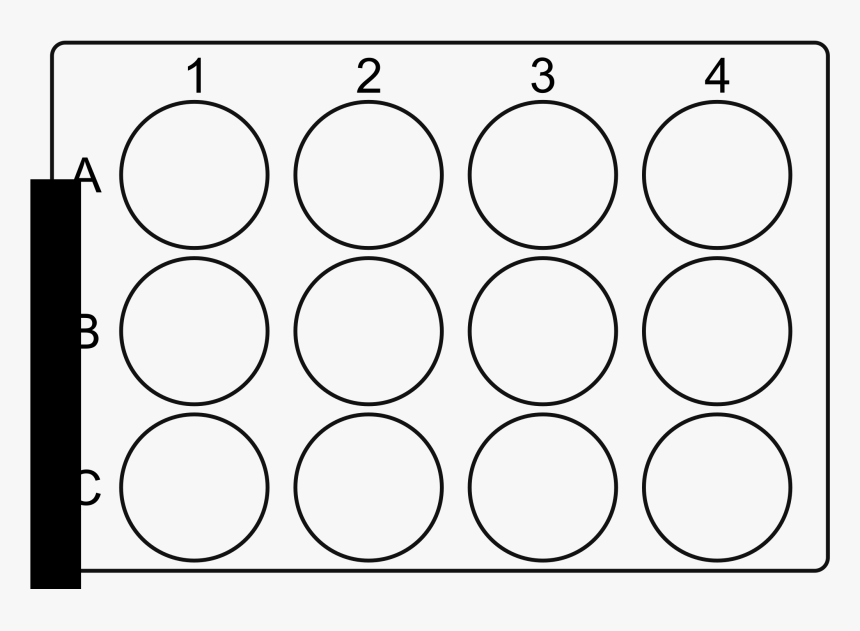 Plate Png, Transparent Png