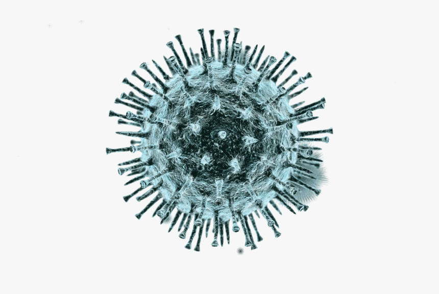 Coronavirus Png, Transparent Png