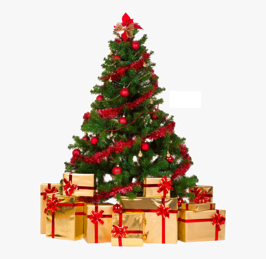 Network Tree Day Decorations Graphics Christmas Portable, HD Png Download