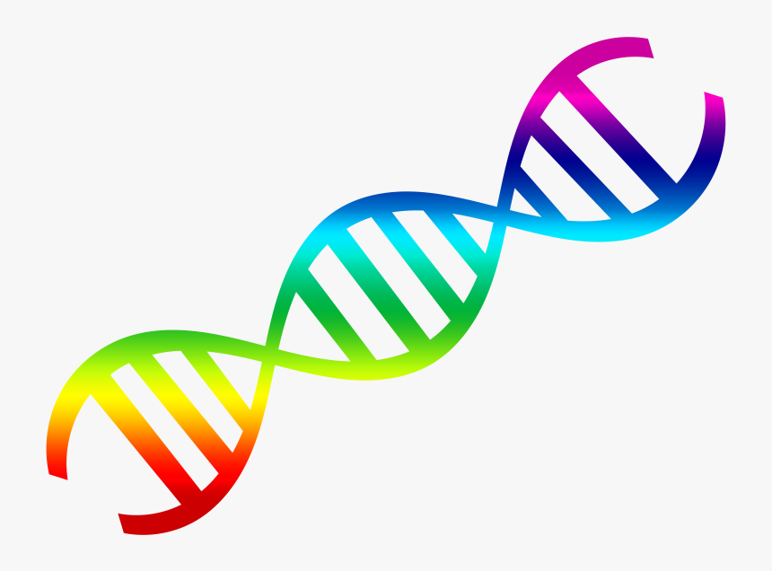 Pin Dna Clipart, HD Png Download
