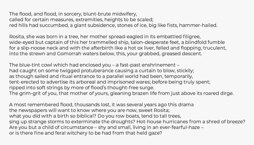 The Arrival Of Rosita, A Poem By Afra Kingdon, HD Png Download