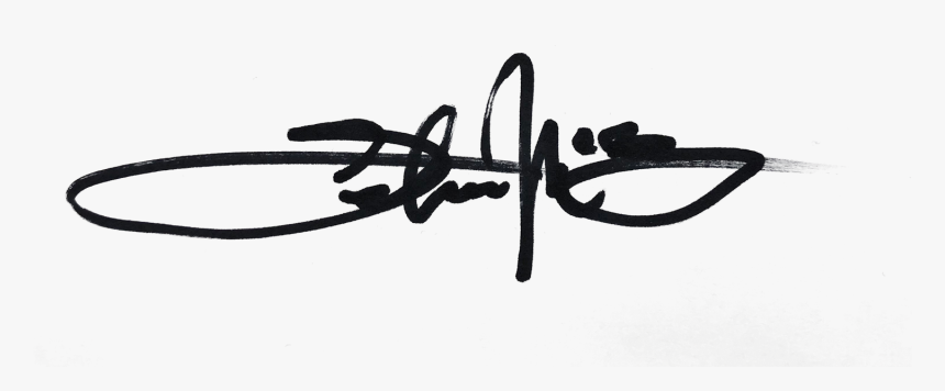 lebron james signature