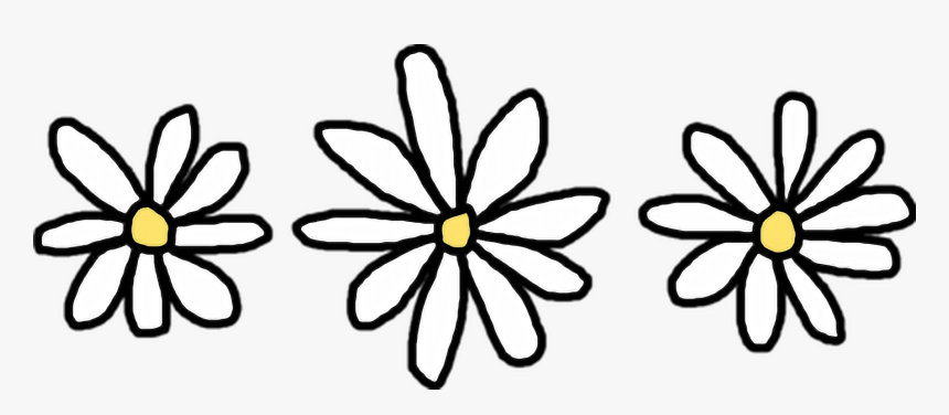 Flower Common Daisy Clip Art Transprent, HD Png Download