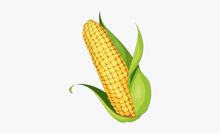 Maize Png Clipart Background, Transparent Png