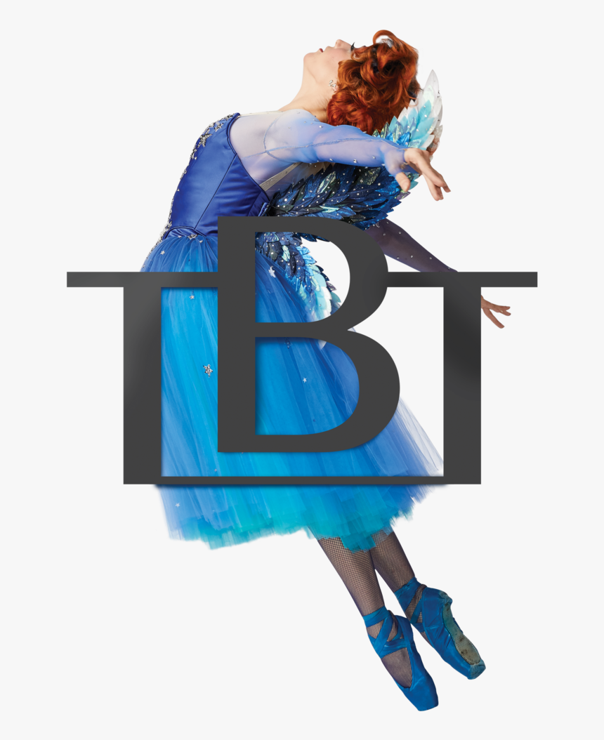Tbt-fairy, HD Png Download