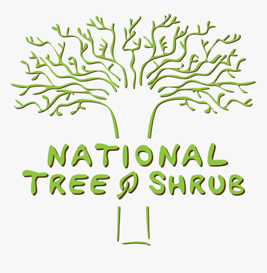 National Tree & Shrub , Png Download, Transparent Png