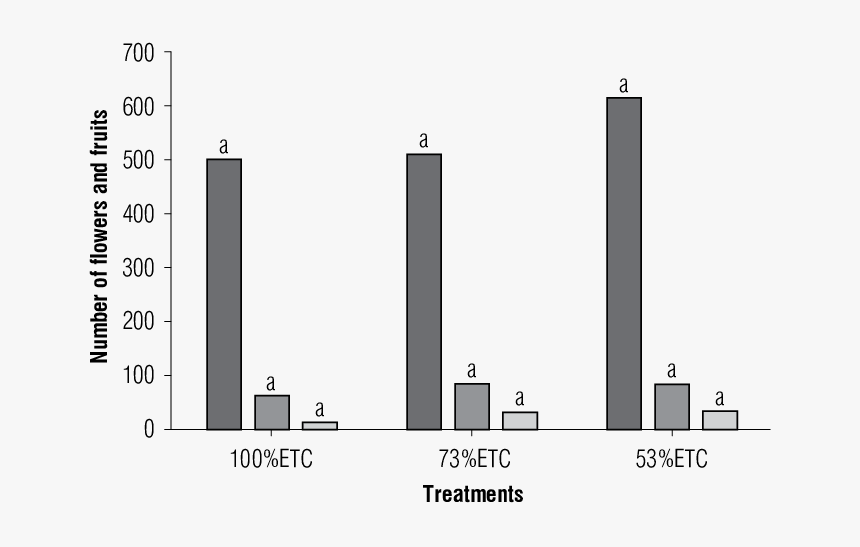 Transparent Black Bars Png, Png Download