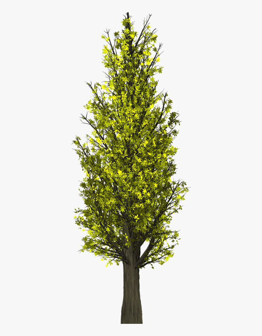 May Nature Png, Transparent Png
