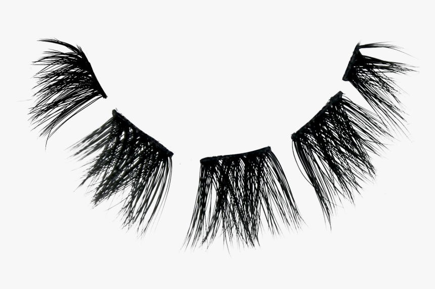 Transparent Eyelashes Png, Png Download