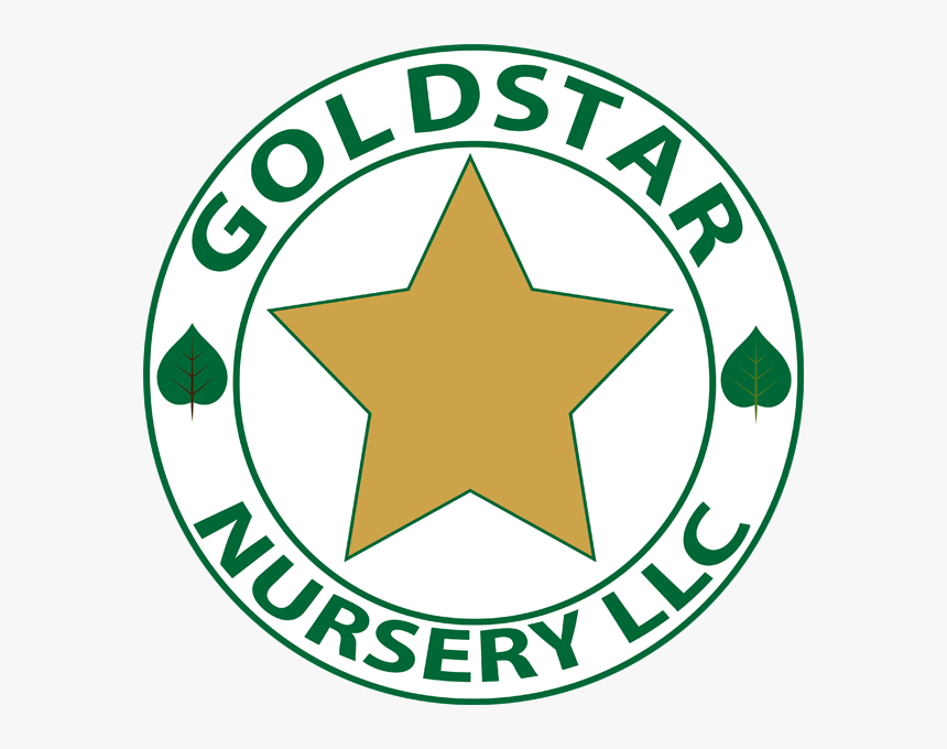 Gold Star Nursery, HD Png Download