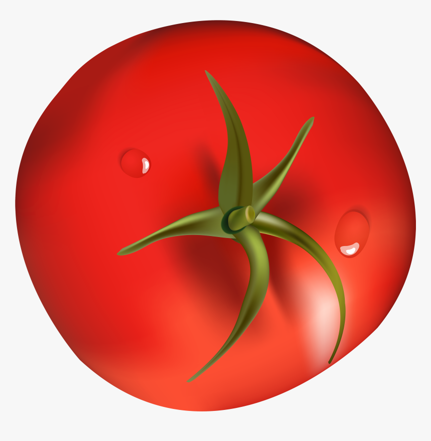 Tomato Png Clipart, Transparent Png