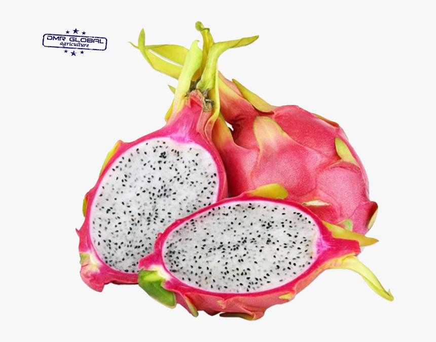 Transparent Dragon Fruit Png, Png Download