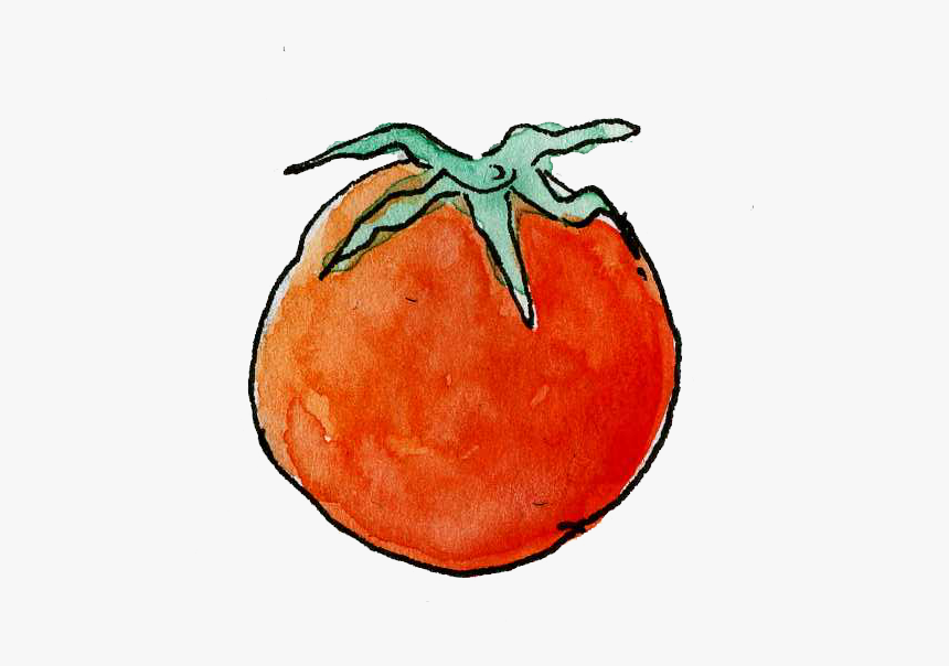 Tomato, HD Png Download