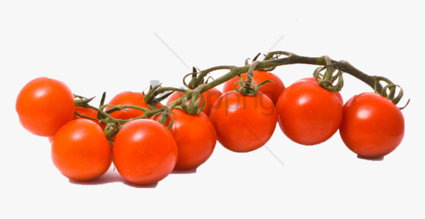 Free Png Tomato Png Image With Transparent Background, Png Download