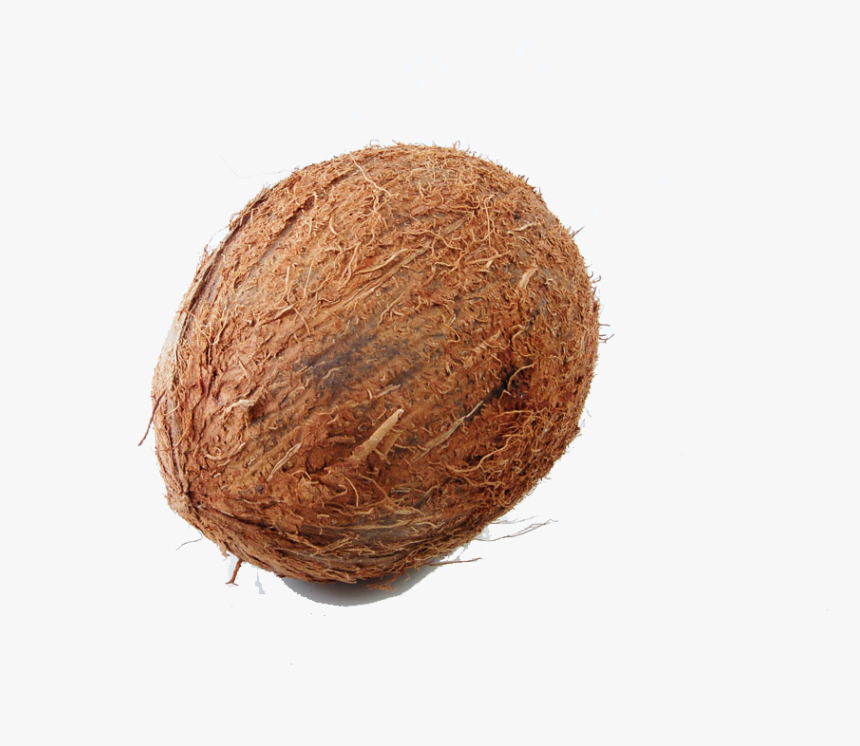 Coconut Milk Fruit Auglis Drawing, HD Png Download