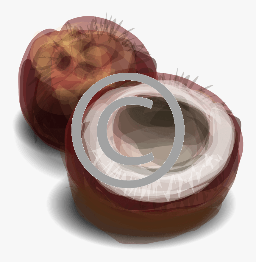 Coconut Png, Transparent Png