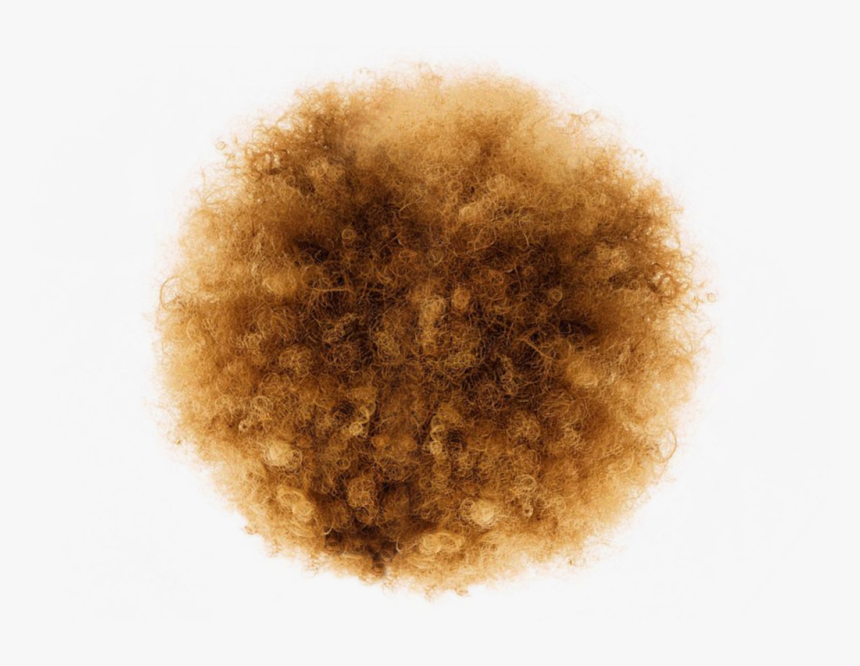 Brown Afro Png, Transparent Png