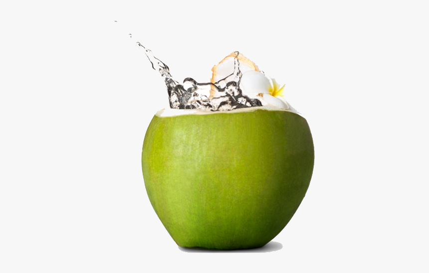 Fresh Green Coconut Png Download Image, Transparent Png